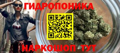 твердый Пушкино