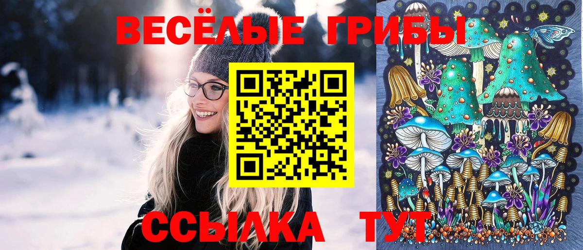 Псилоцибиновые грибы ЛСД Сыктывкар